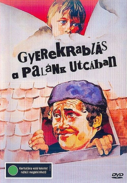 Gyerekrablás a Palánk utcában