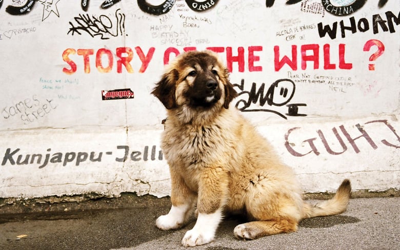 Stormheart Stormheart