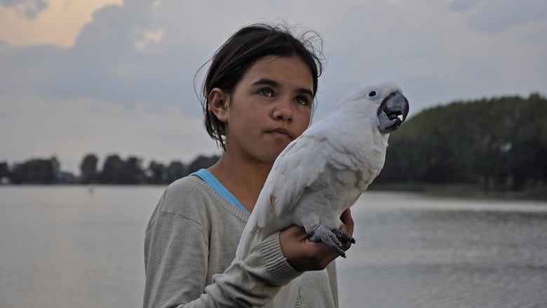 Above Us All Above Us All