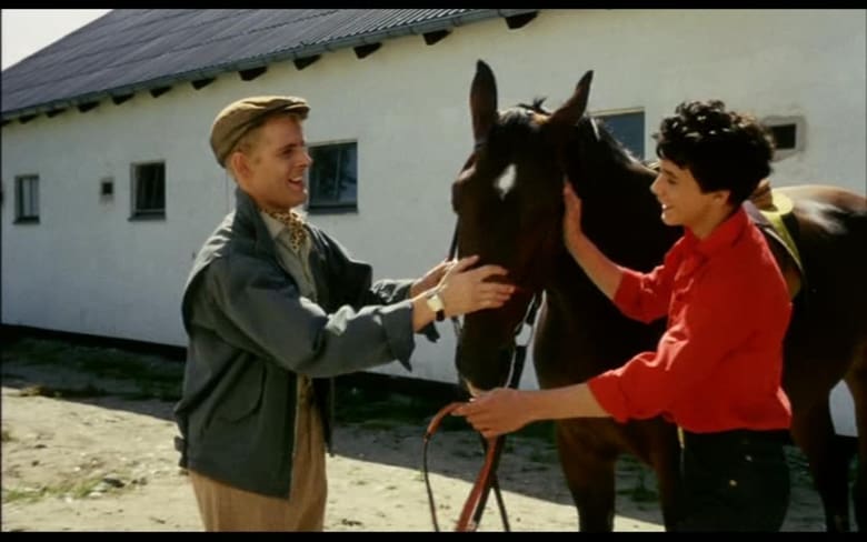 The Heir to Næsbygaard